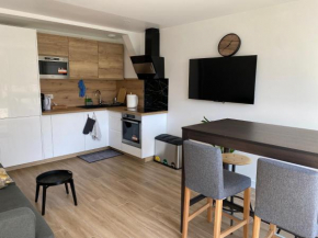 Amazing flat, Paris suburb, near Versailles ,Orly
